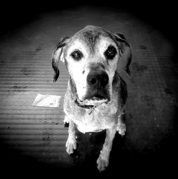 Meet your Posher, Michael - Picture 1 of 1